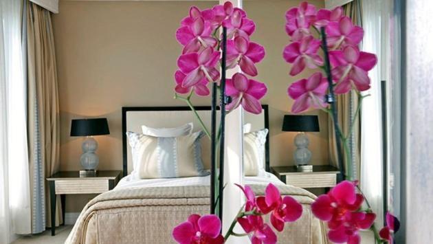 Warwick Champs-elysees Hotel